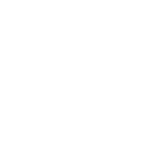 visagent